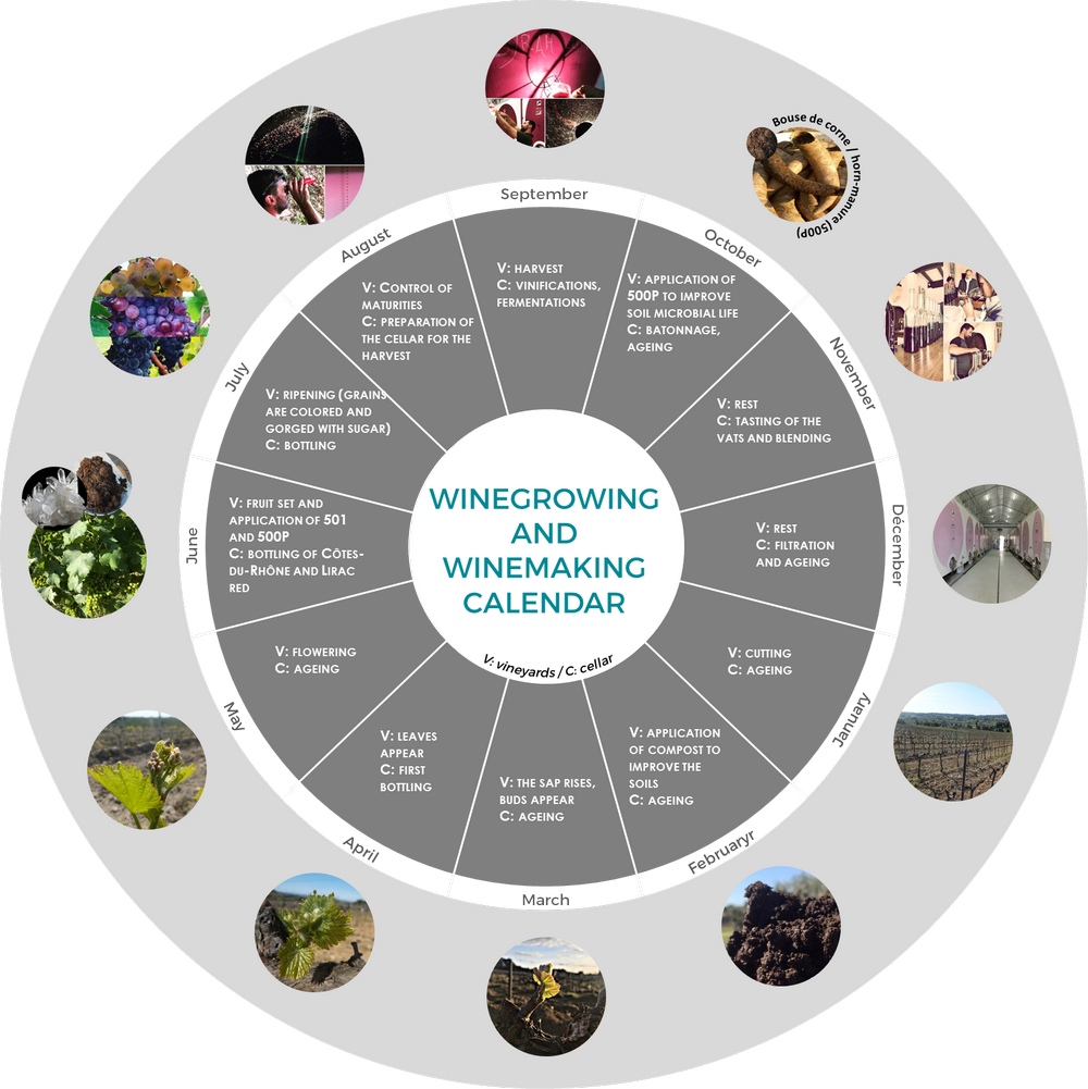 Biodynamic Wine Calendar 2024 Timmi Jeannine